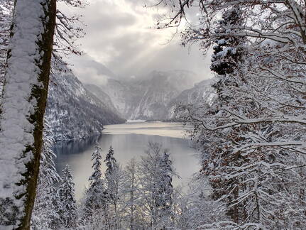 IMG 20170115 141641198 HDR